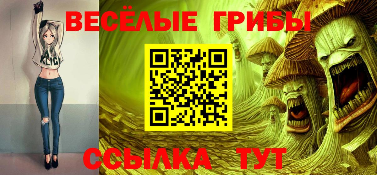 Ишимбай  Псилоцибиновые грибы прущие грибы  Галлюциногенные грибы Psilocybine cubensis  Вход с VPN 